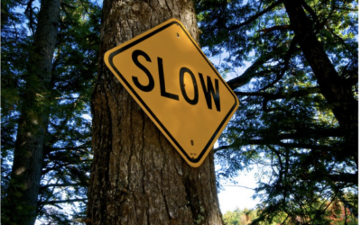 Le Slow Tourisme : Pourquoi voyager lentement est la tendance de demain