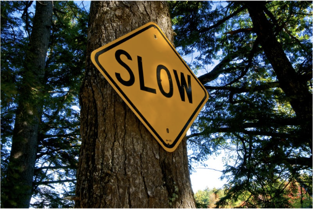 Le Slow Tourisme : Pourquoi voyager lentement est la tendance de demain